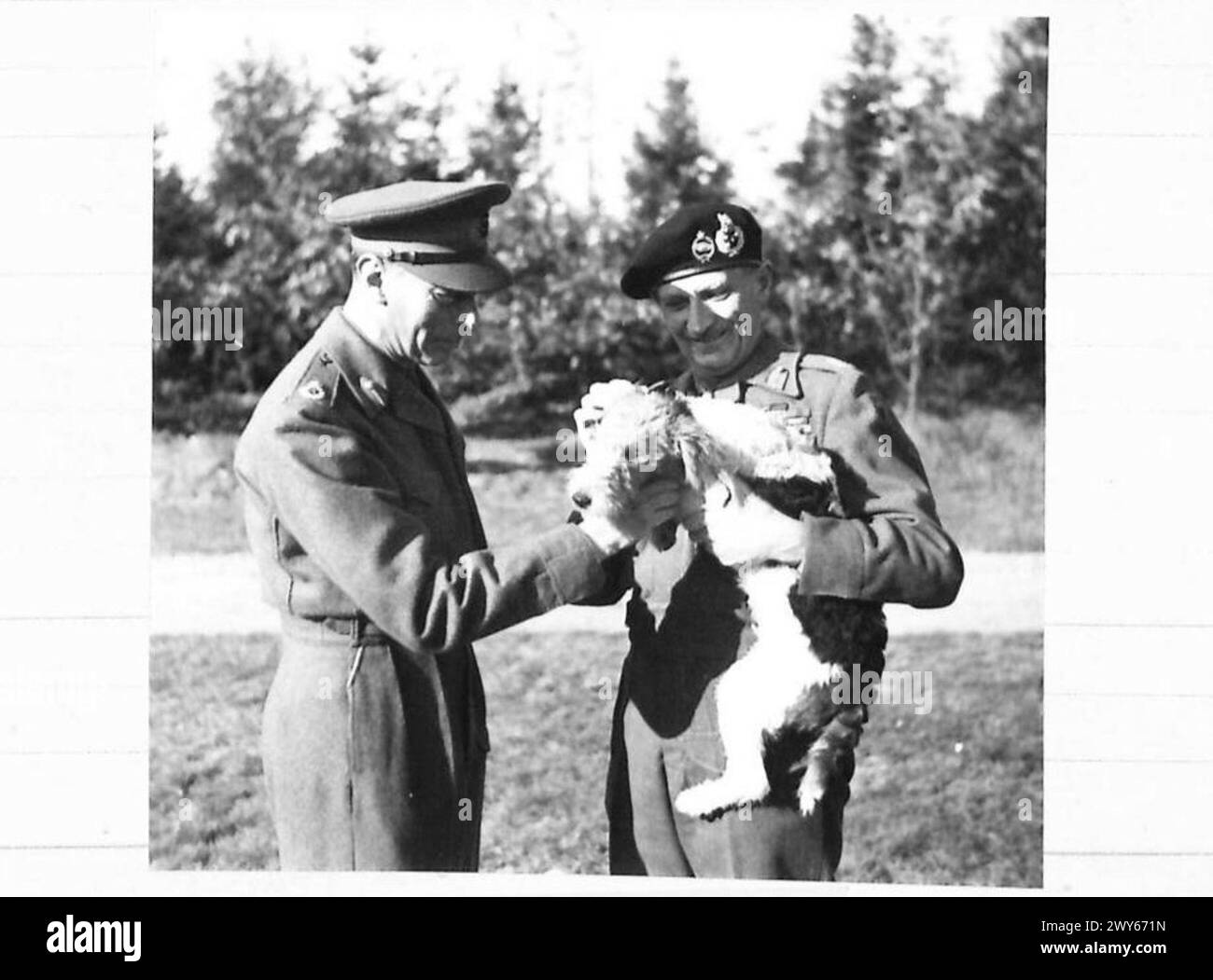 'THE JOKE IS ON HITLER' - Field Marshal Montgomery introduces his dog 'Hitler' to H.M. the King. The fact that His Majesty has been able to spend five uninterrupted days with his Armies in Holland is a Joke on the dog's namesake. , British Army, 21st Army Group Stock Photo