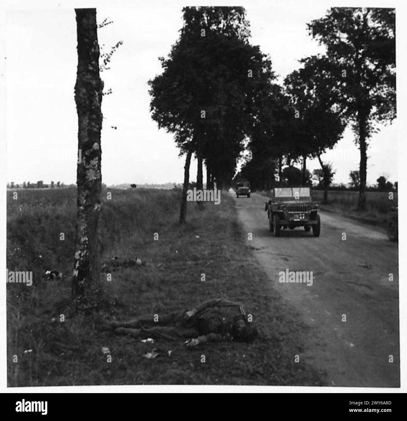 FALAISE AREA - German bodies litter the roadside along the road to ...