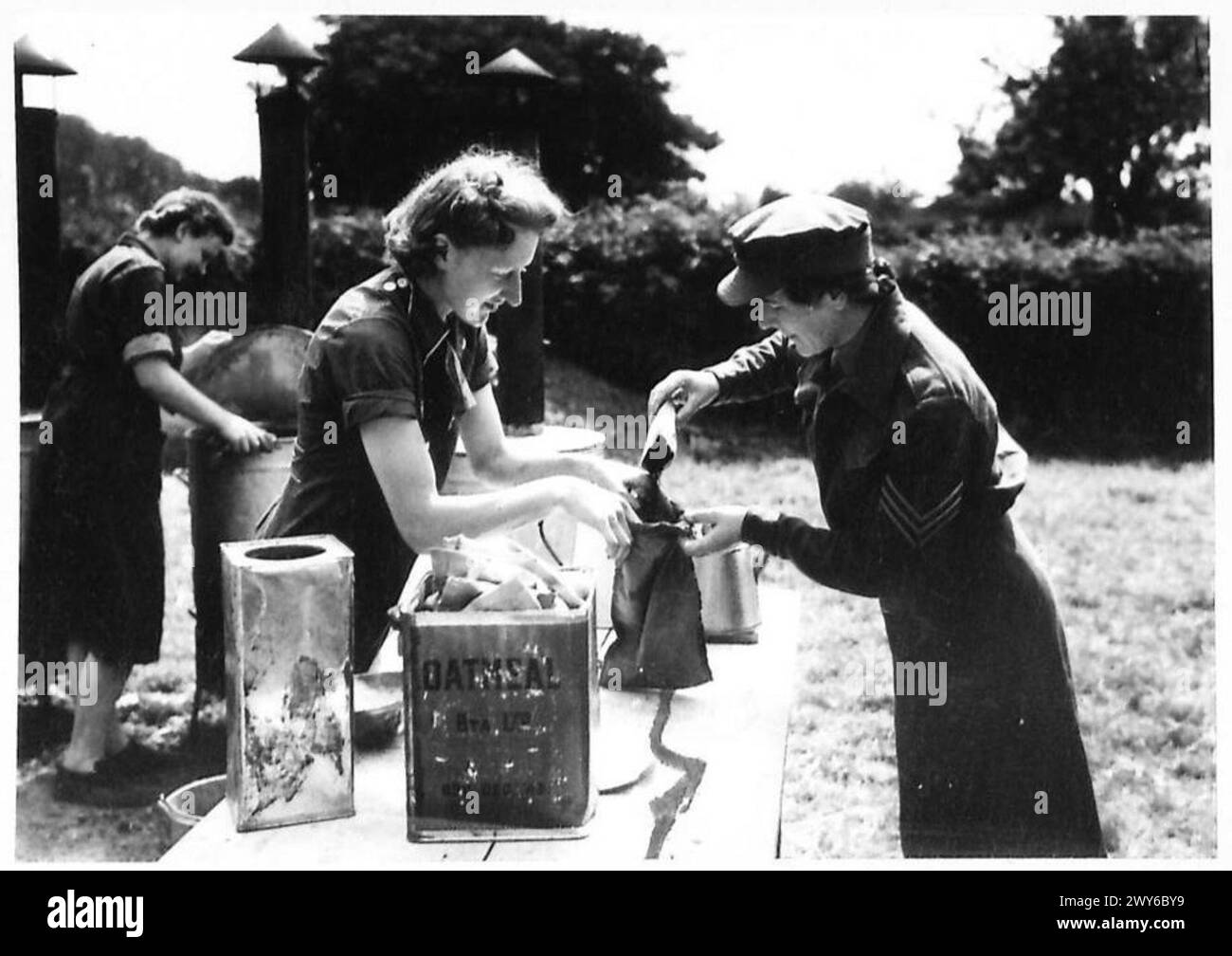 Uk Routine Army A Sergeant in the Women's Services in Normandy measures tea for ...