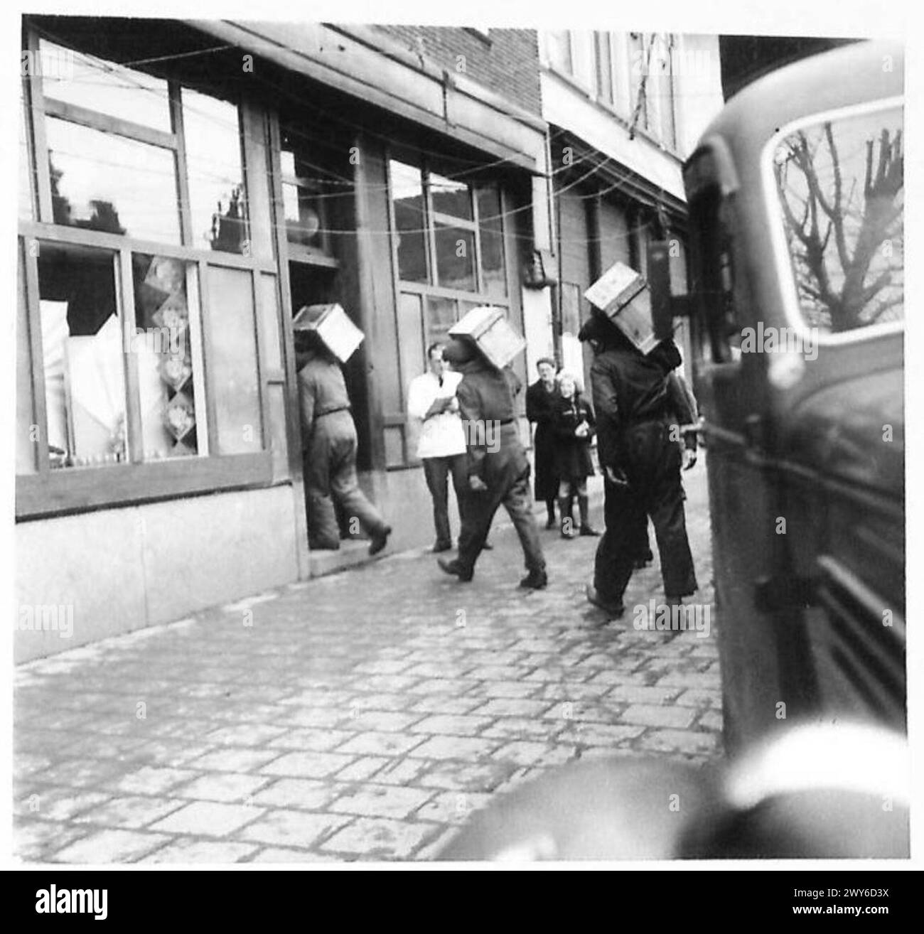 Pavement feeding Cut Out Stock Images & Pictures - Alamy