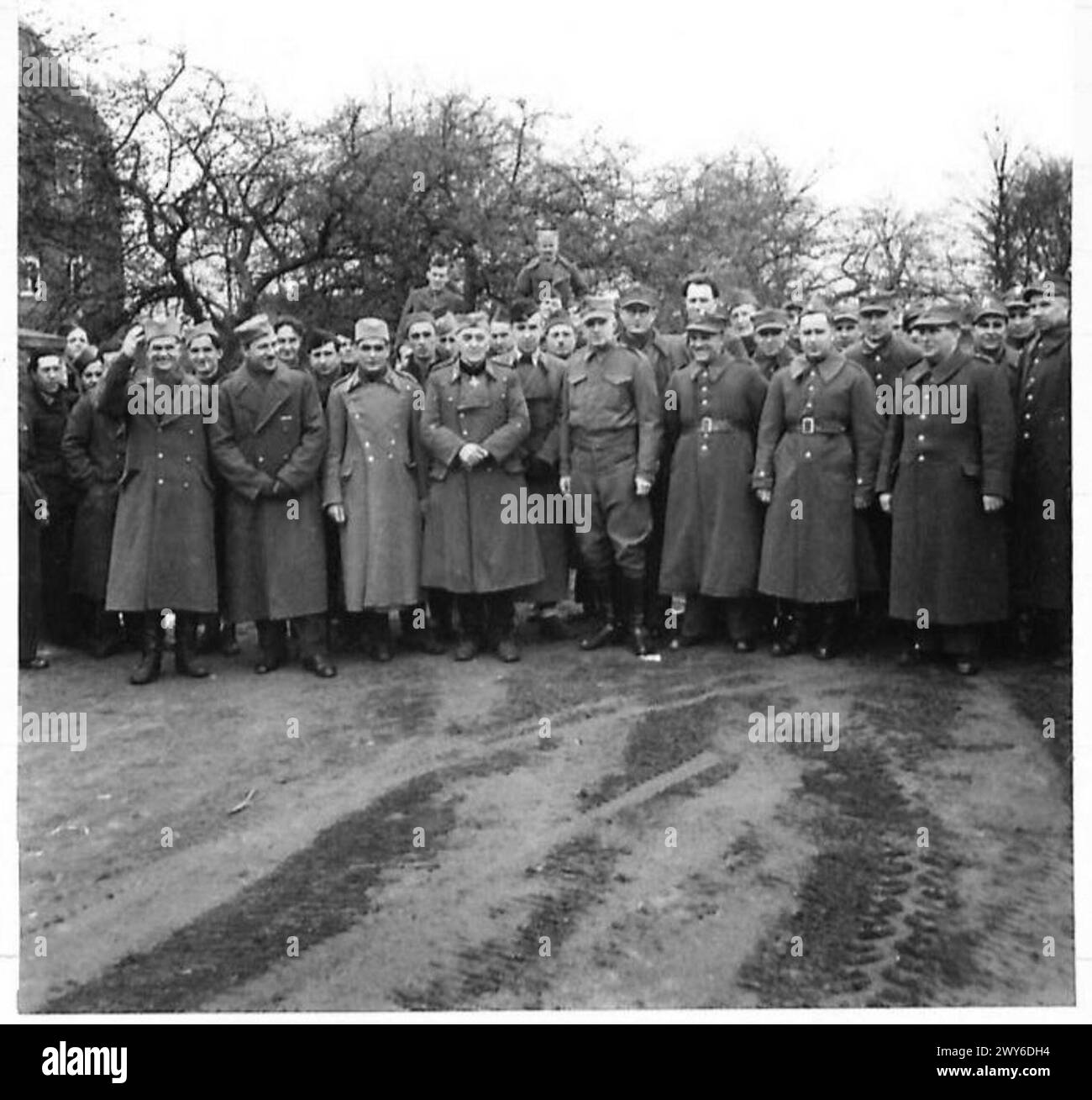 ADVANCE OF THE 5TH GUARDS ARMOURED BRIGADE A group of released POWs