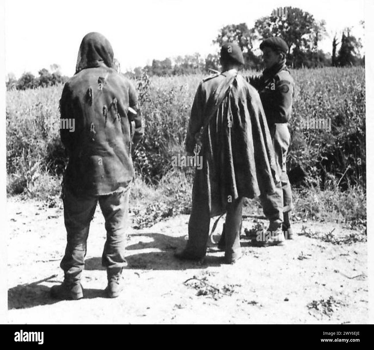 THE BRITISH ARMY IN NORTH-WEST EUROPE 1944-1945 - Lieut.-Colonel Young, DSO, MC, of No. 6 Commando, giving final instructions to two camouflaged commando snipers who are going to watch a German held house on the edge of Breville. , British Army, 21st Army Group Stock Photo