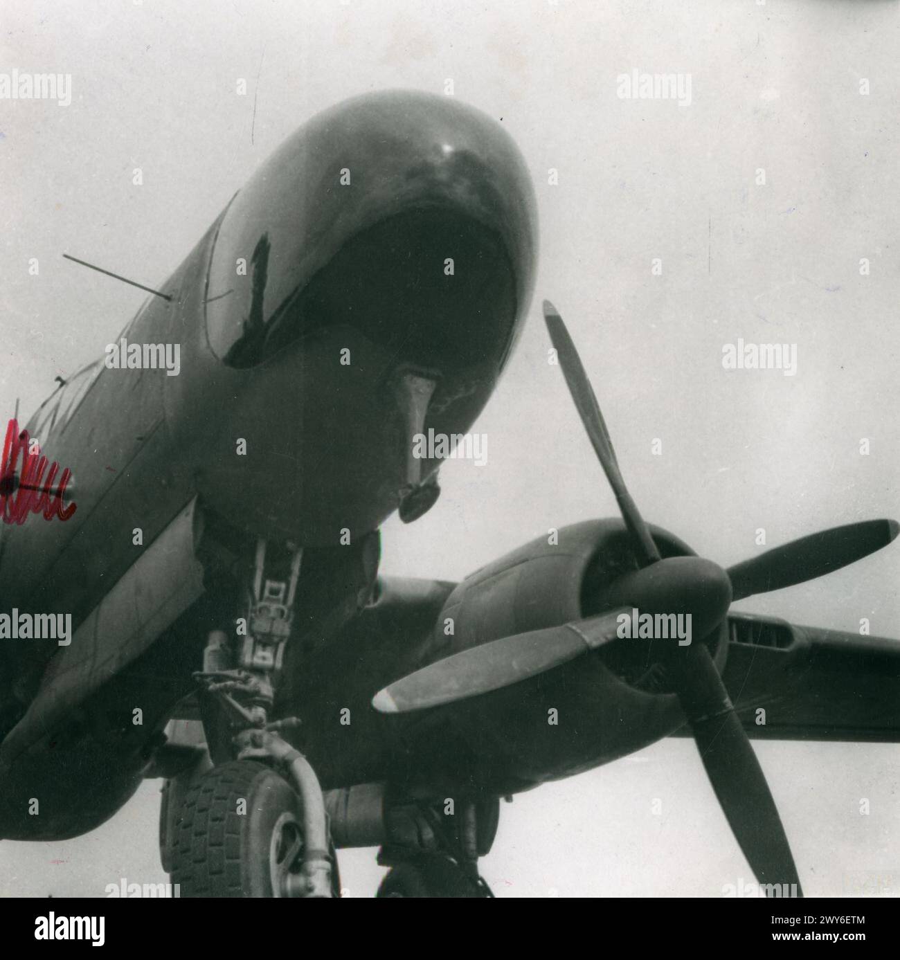 UNITED STATES ARMY AIR FORCES (USAAF) IN BRITAIN, 1942-1945 - The nose of a P-61 Black Widow of the 422nd Night Fighter Squadron.Image stamped on reverse: 'Keystone Press.'[stamp], 'Not to be published 24 Jul 1944.' [stamp], 'Passed for publication 22 Aug 1944.' [stamp] and '342456.' [Censor no]Printed caption on reverse: 'Newest Night Fighter Is Called The 'Black Widow'. The very latest nght fighter, the P-61, known as the 'Black Widow', has commenced operations. This powerful plane is driven by two 2,000 h.p. Pratt and Whitney motors and is armed with cannons. It looks very much like the 'Li Stock Photo