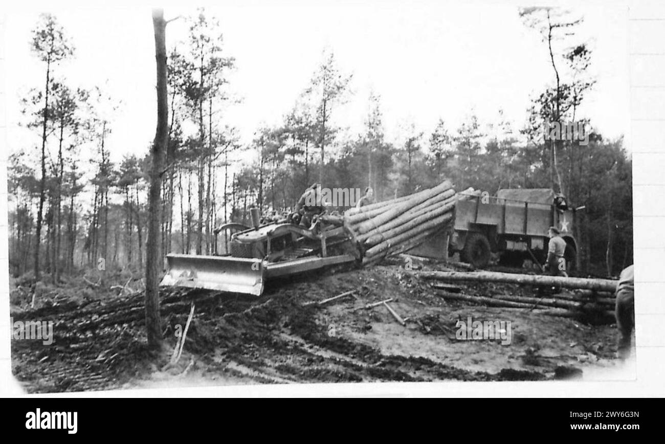 LUMBERJACKS IN HOLLAND - A Bulldozer is used to drag logs from a loaded lorry to the saw mills. , British Army, 21st Army Group Stock Photo