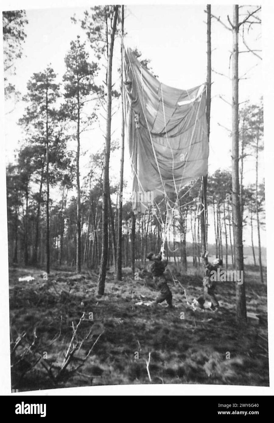 RHINE CROSSING - After the Airborne landing parachutes drape the trees ...
