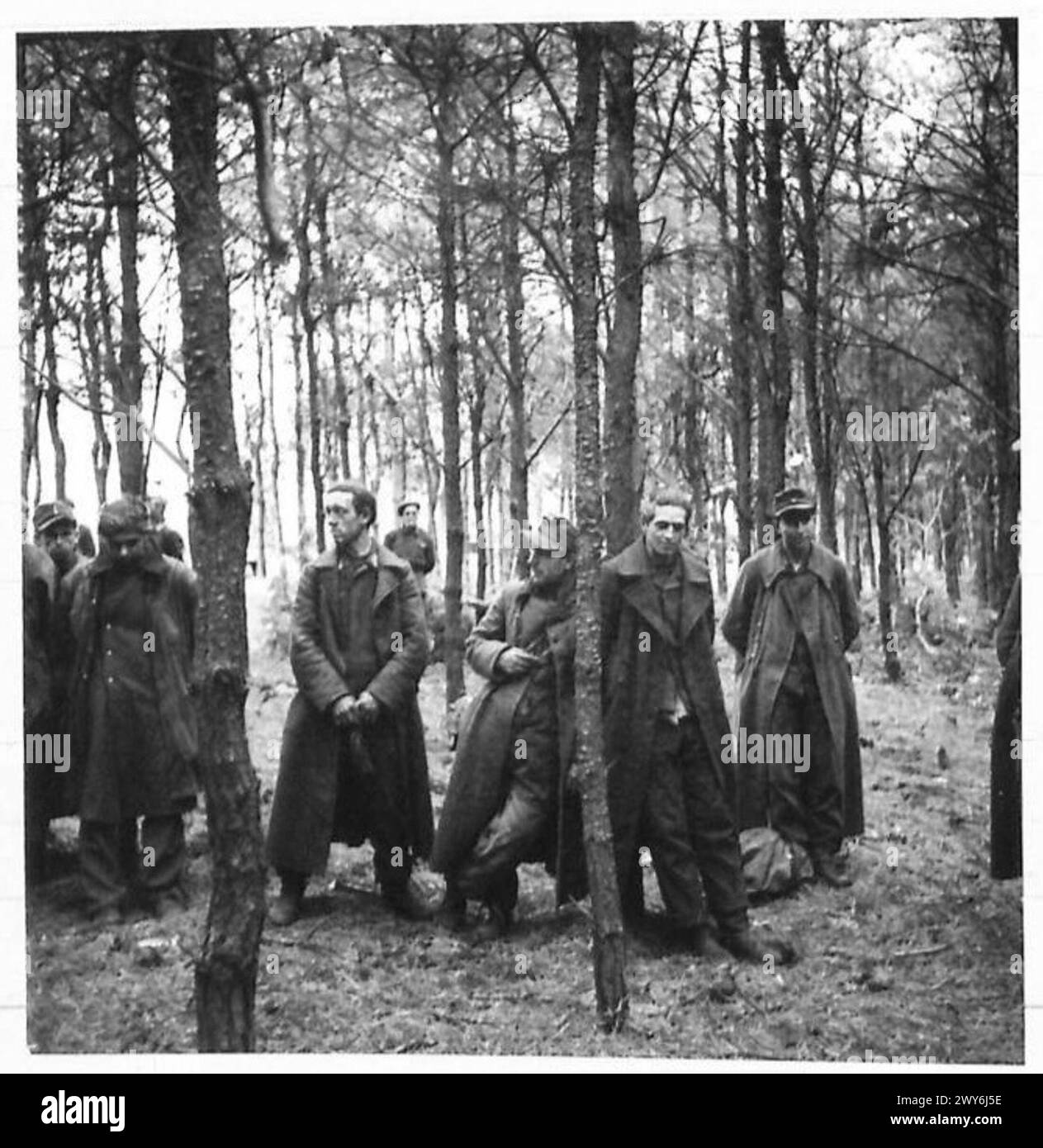 GERMAN PRISONERS. - A group of German prisoners looking very fed up ...