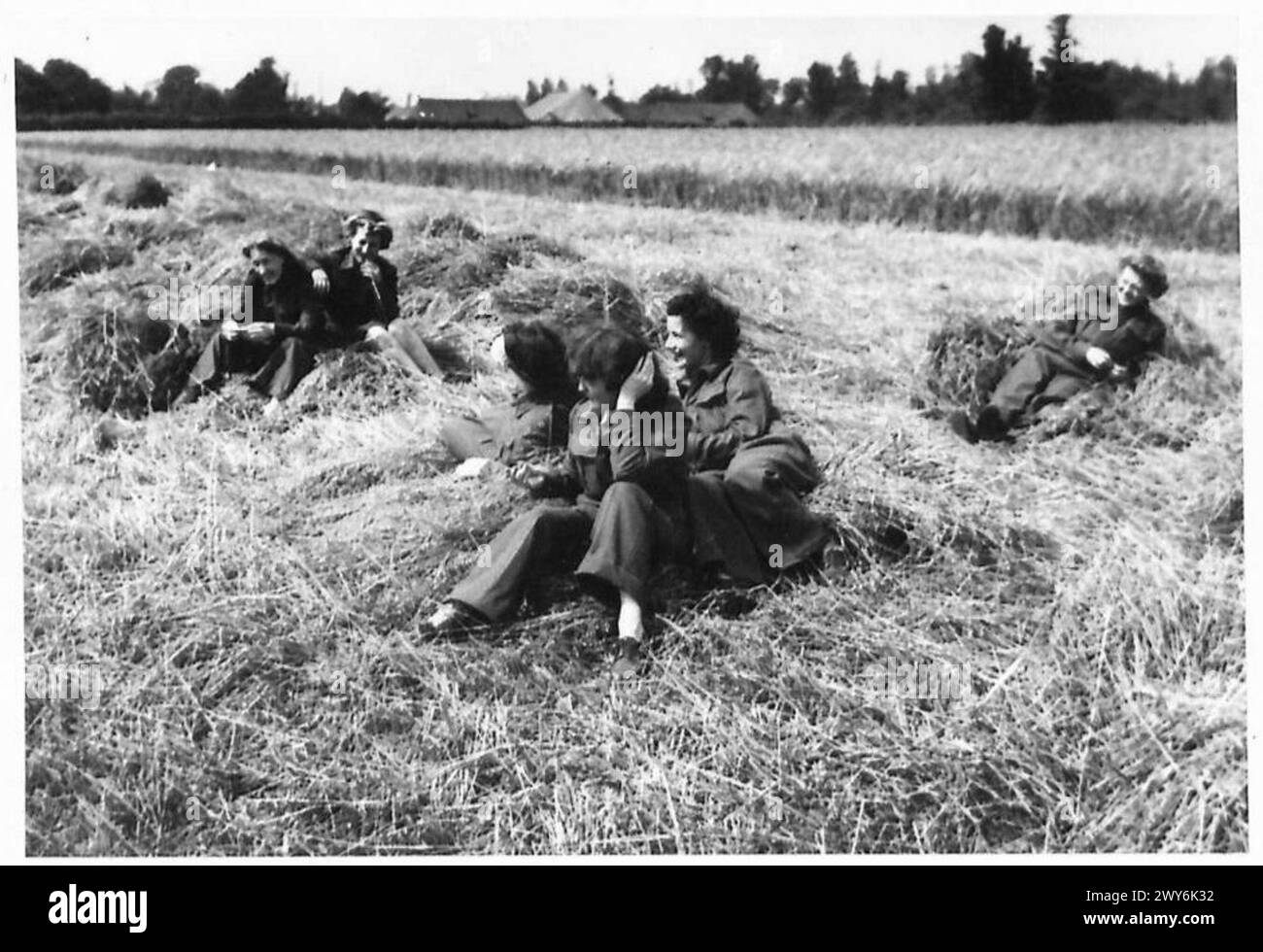 WOMENS' SERVICES IN NORMANDY - Enjoying the sunshine in a Normandy cornfield. , British Army, 21st Army Group Stock Photo