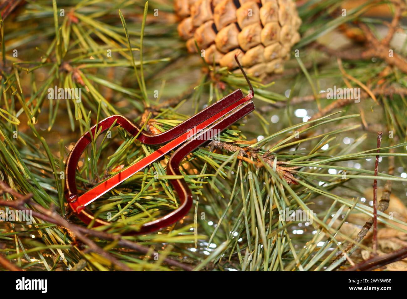Musical instrument mouth harp Vargan Stock Photo Alamy