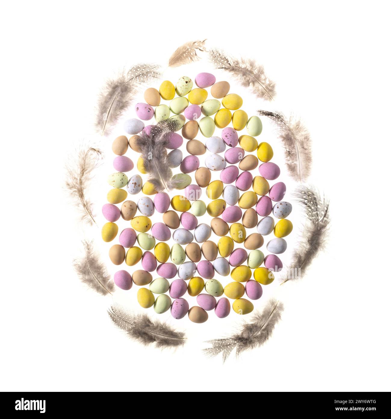 Pastel coloured sugar-coated mini eggs arranged in an egg shape edged with feathers on a white background. Stock Photo