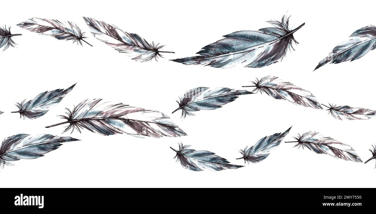 Watercolor seamless border, pattern with monochrome bird feathers grey black color with graphic ink line. Quills wings drawing illustration. Wrapping Stock Photo