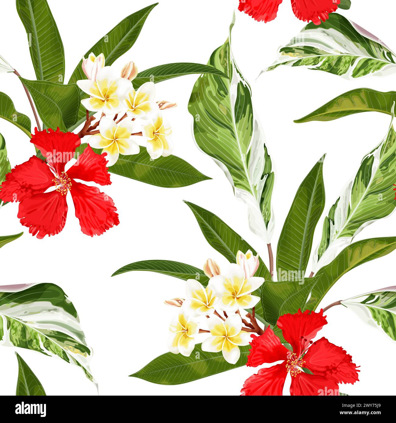 Tropical seamless pattern with red hibiscus, plumeria flower and ...