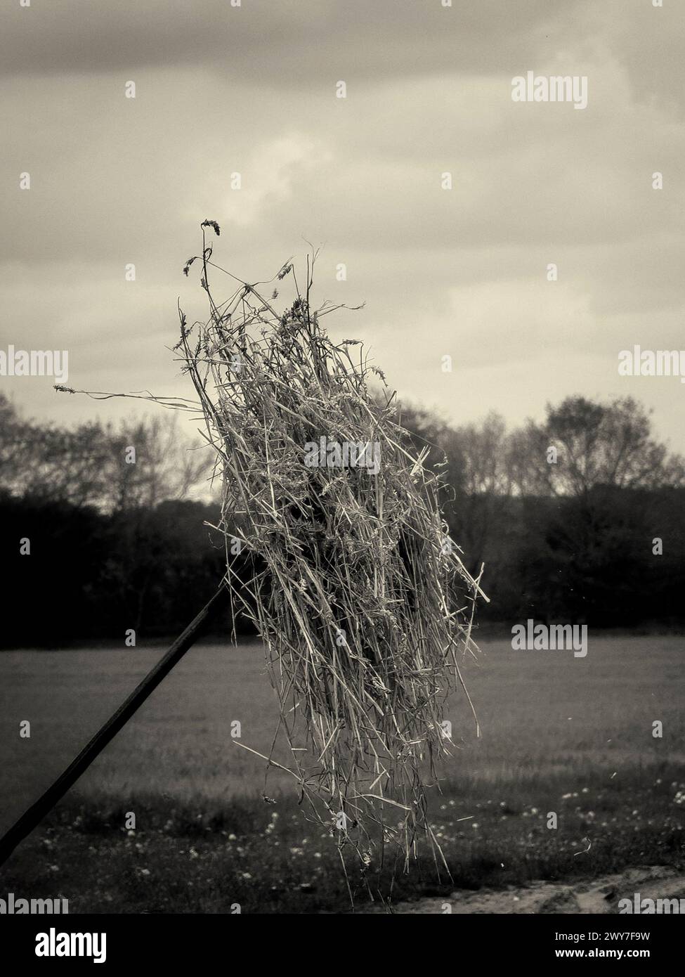 Black and white sepia toned retro image of hay on a pitchfork in a rural setting invoking a Victorian, Edwardian or 1940s wartime style photograph Stock Photo