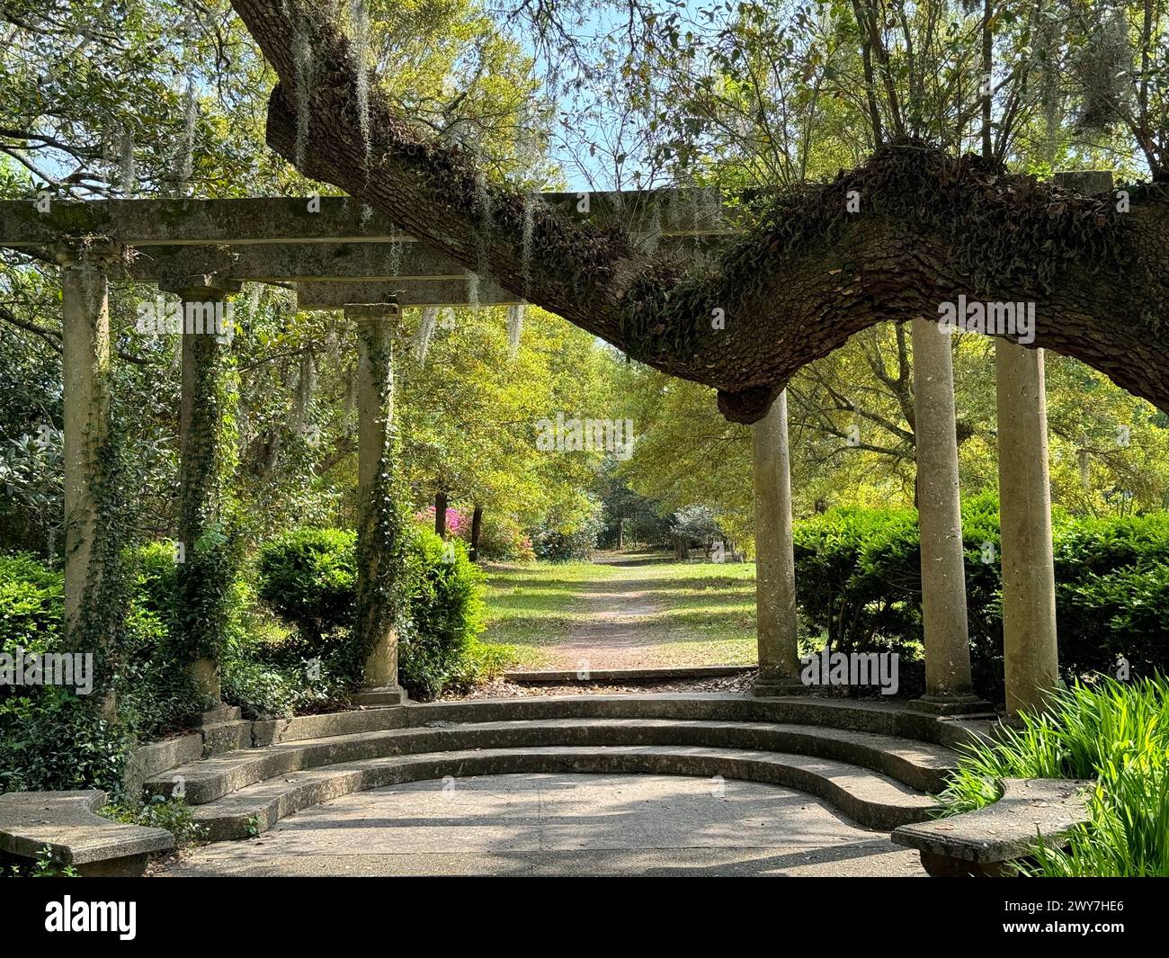A park bench with archway and trees in the background Stock Photo