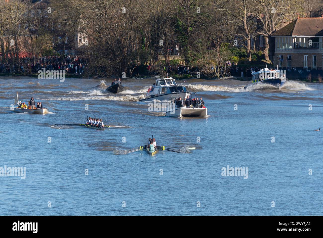 University Boat Race racing through Mortlake just before Chiswick Bridge on the River Thames. Cambridge leading Oxford boat followed by chase boats Stock Photo