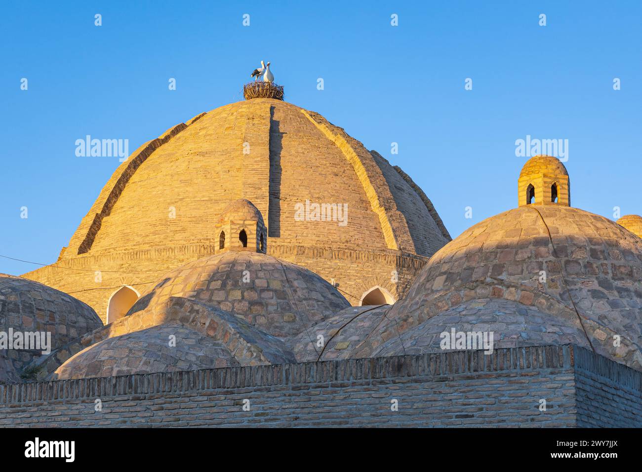 Bukhara, Uzbekistan, Central Asia. Domes of the Mir-i-Arab Madrasa in Bukhara. Stock Photo