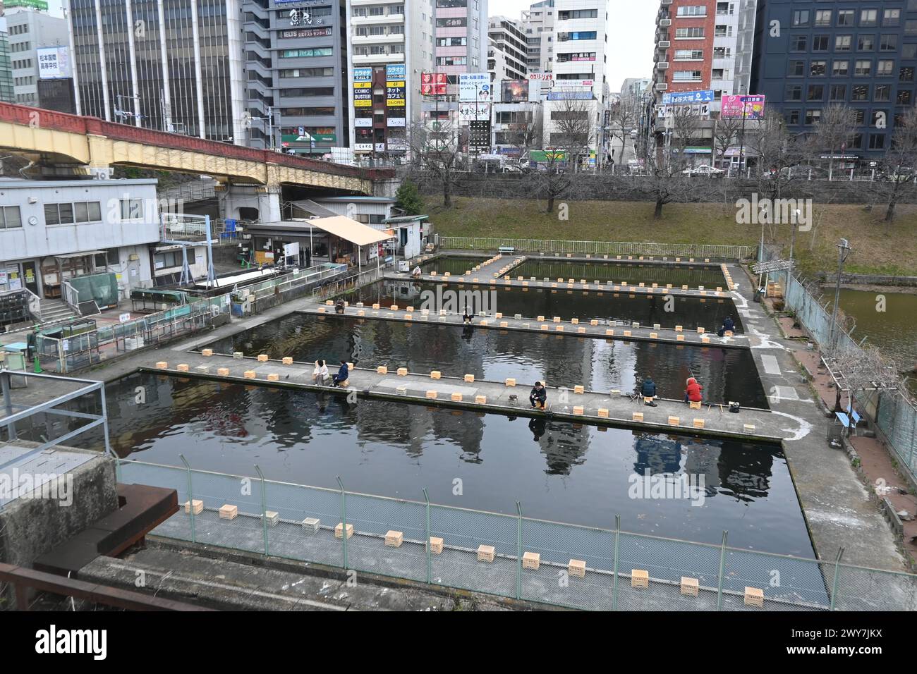 Ichigaya Fishing Center (fishing pond) located on the Kanda River – Ichigayadaimachi, Shinjuku City, Tokyo, Japan – 29 February 2024 Stock Photo