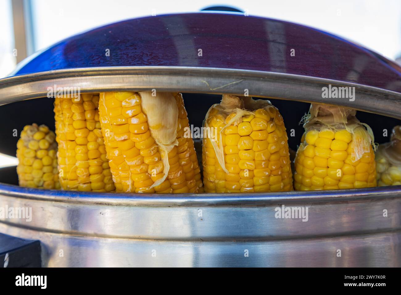Bukhara, Uzbekistan, Central Asia. Steamed corn on the cob at a market ...
