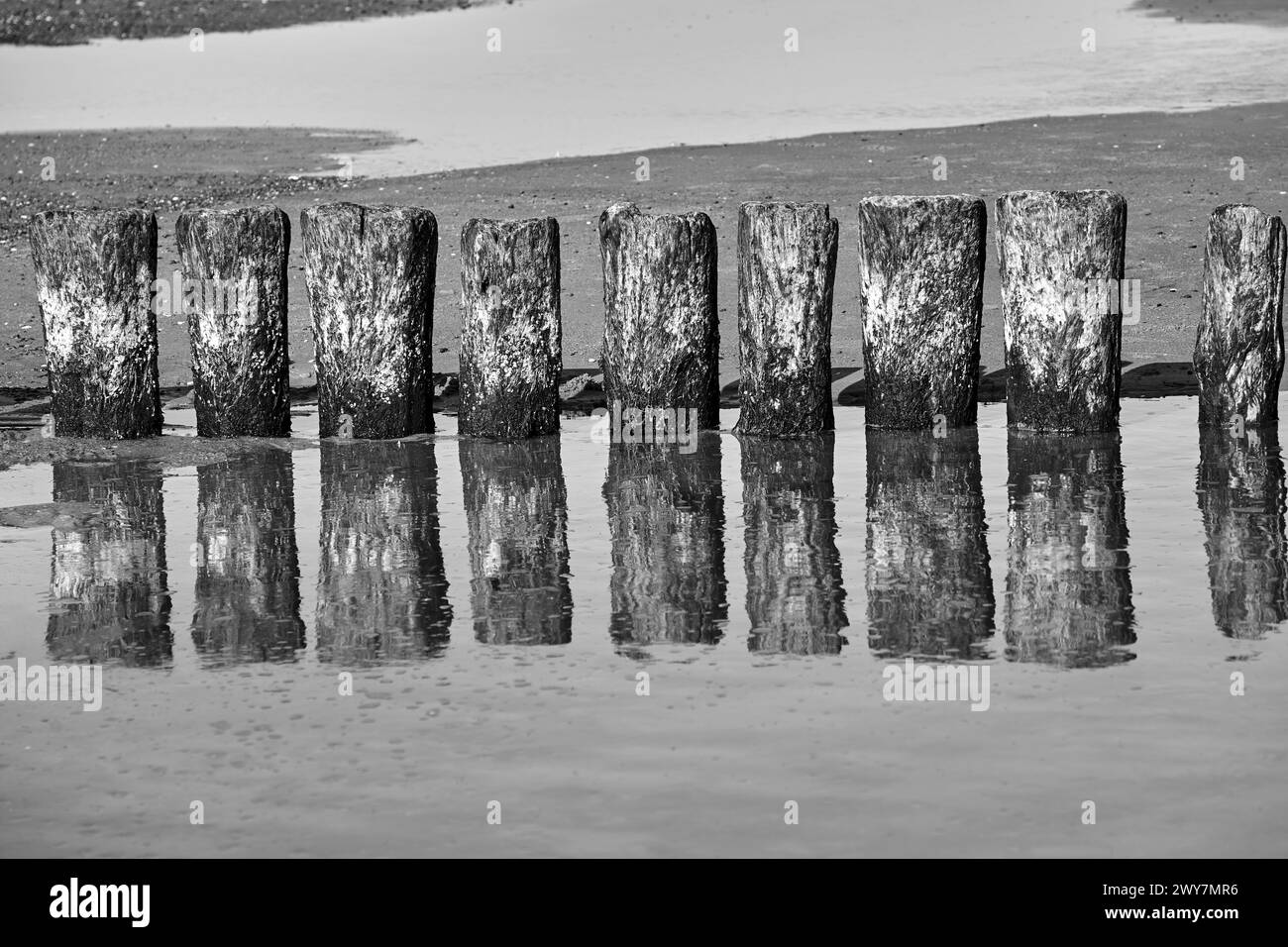 A series of wooden breakwaters and a pier on a sandy beach on the island of Wolin, Poland,  monochrome Stock Photo