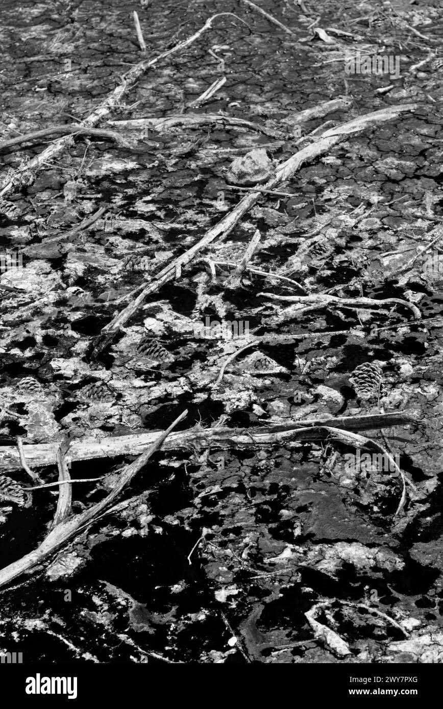 Tar pits Black and White Stock Photos & Images - Alamy