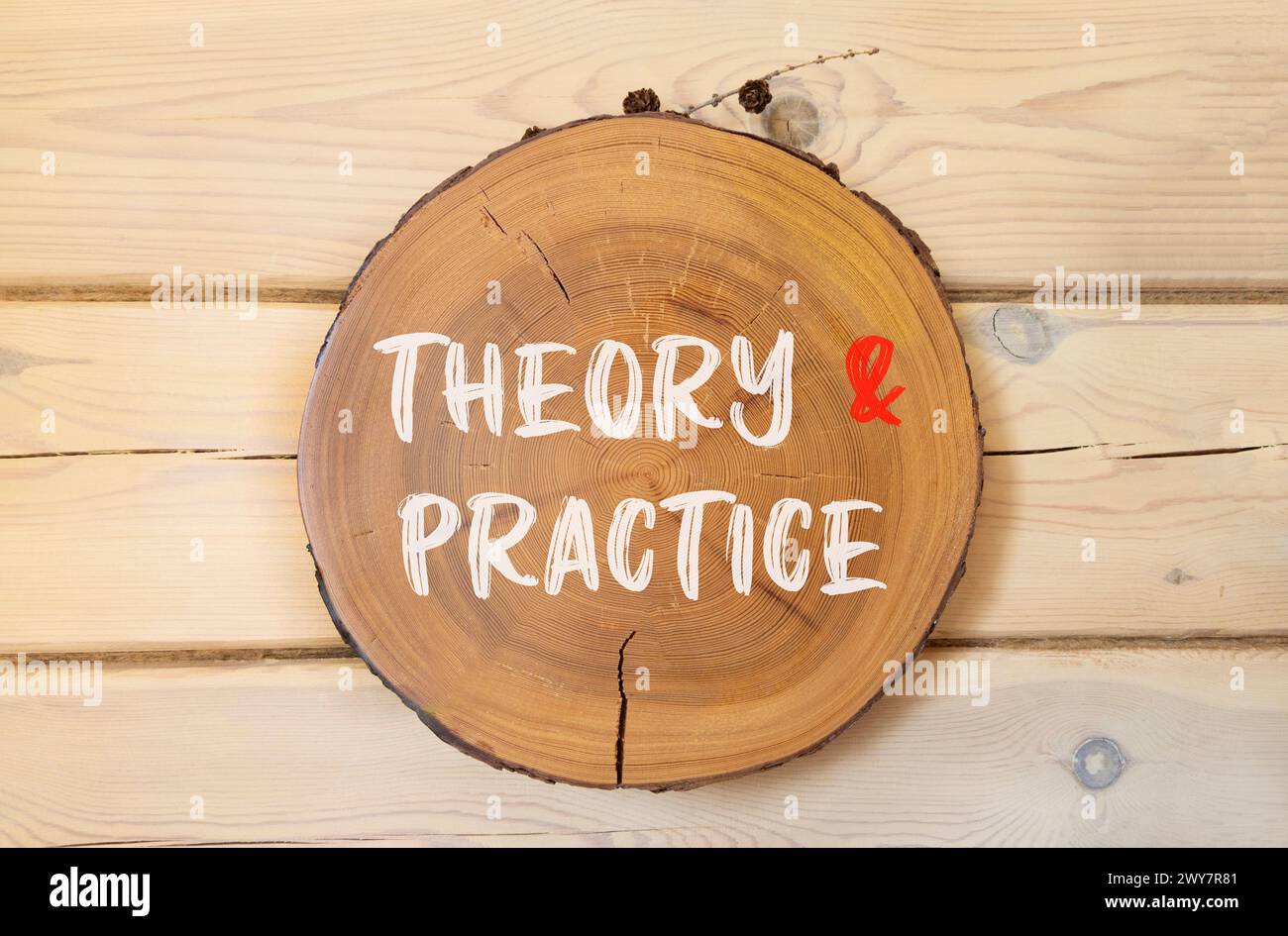 Theory and practice symbol. Concept words Theory and practice on ...