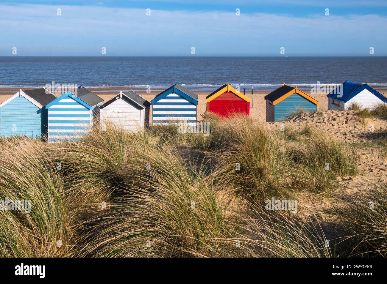 Colourful beach huts on Southwold sea shore. Suffolk, east anglia, UK.Marram grass on the dunes behind the huts. Stock Photo