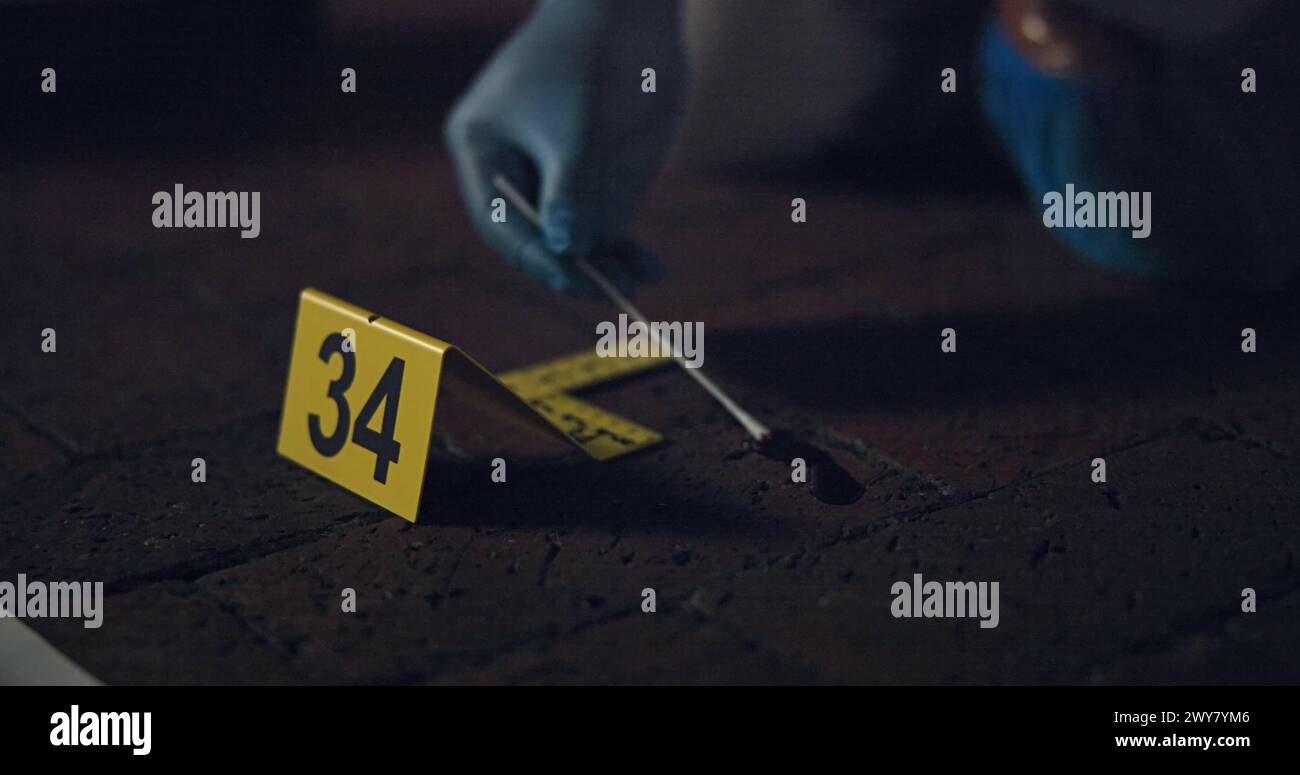 Evidence marker, csi and swab of blood at crime scene with forensic on ...