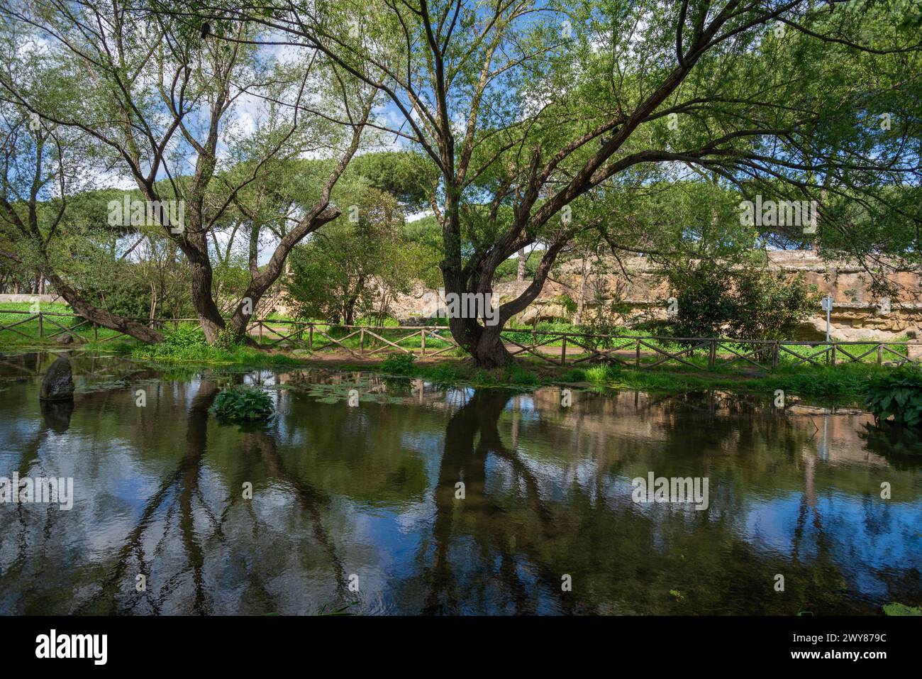 Small lake at the aqueduct park, fed by the Aqua Marcia spring, Tuscolano, Rome, Italy Stock Photo