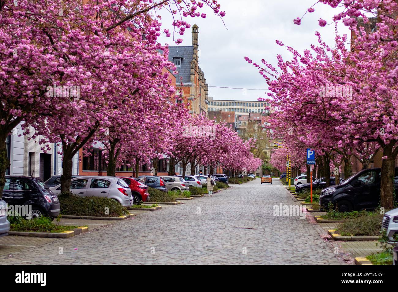 Ghent, Belgium- April 03 2024: Spring in Ghent! The most famous ...