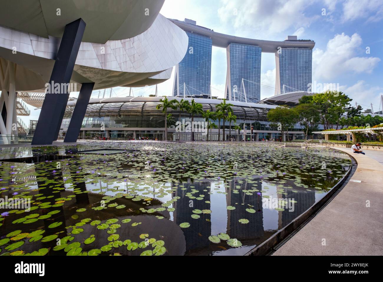 Lotus On Water, Marina Bay Sands Singapore Stock Photo
