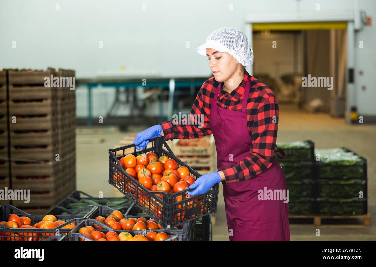 Young woman stacking crates full of tomatoes in warehouse Stock Photo ...