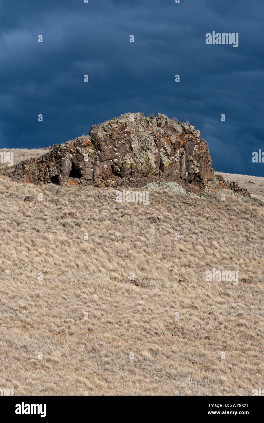 Basalt outcrop, Zumwalt Prairie, Oregon. Stock Photo