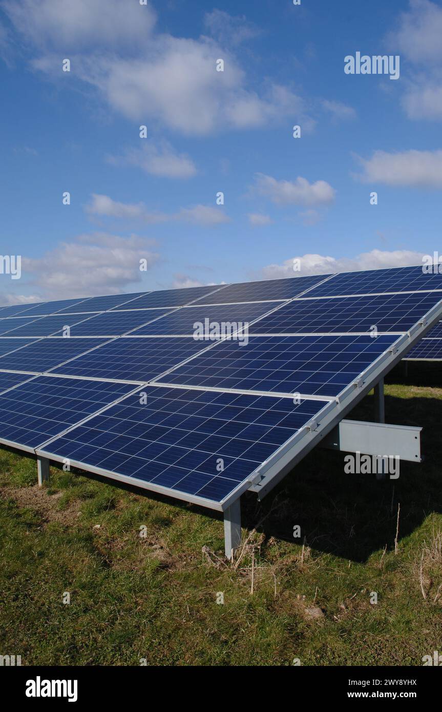 Rows of solar panels producing green energy Stock Photo - Alamy