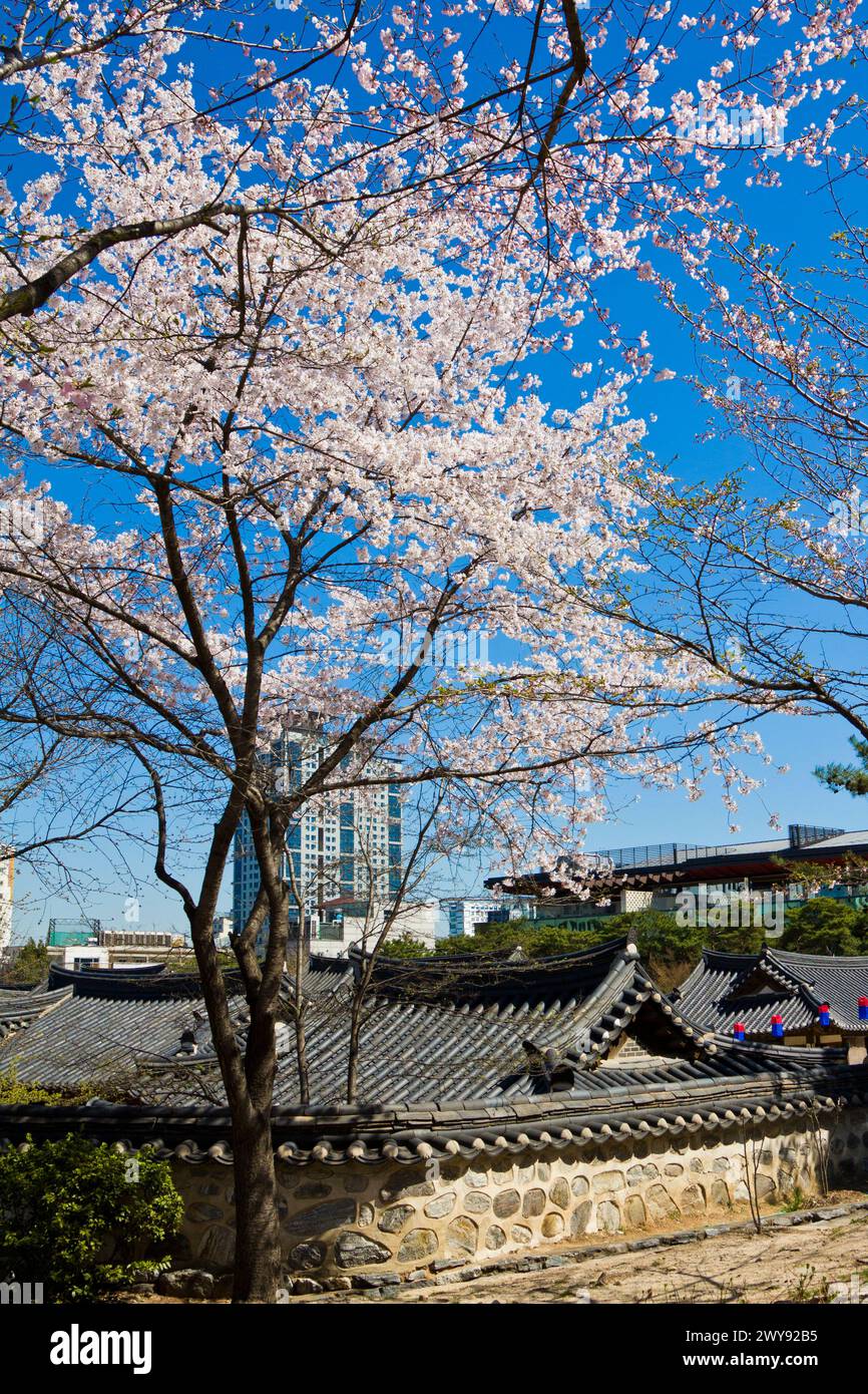 Namsangol Hanok Village , Village of Traditional Houses in the Namsan ...