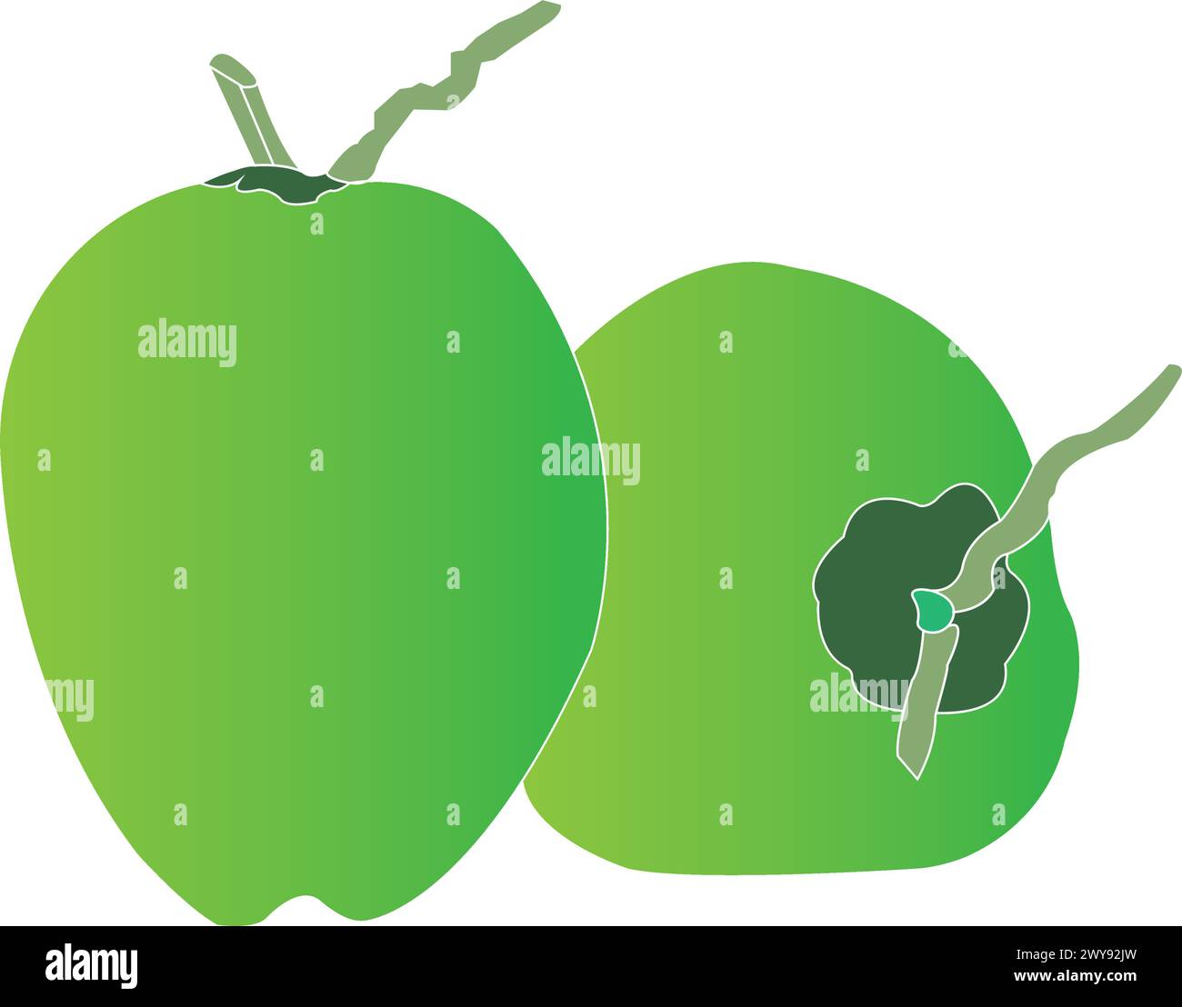 Young coconut icon vector illustration design Stock Vector