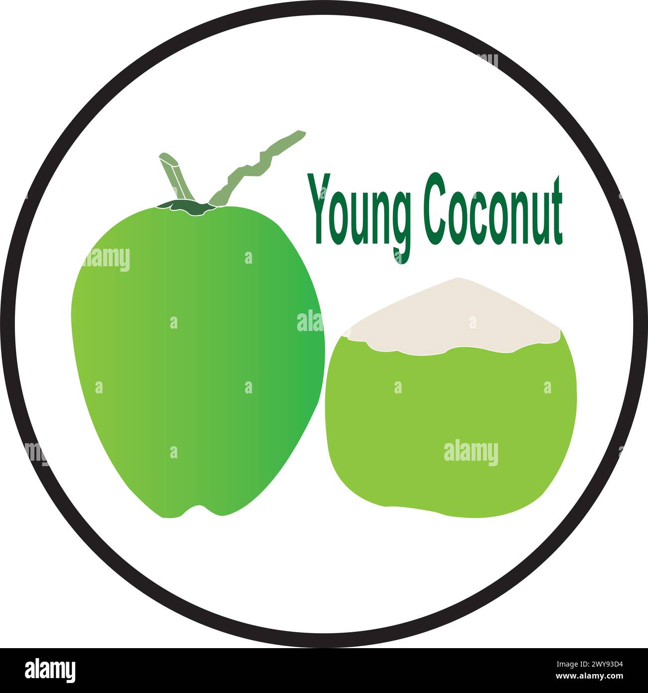 Coconut water milk whole Stock Vector Images - Alamy