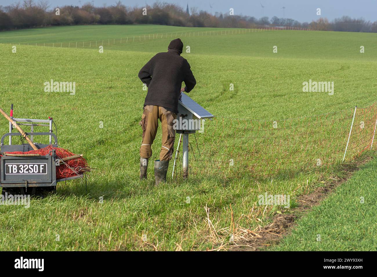 Shepherd attaches a solar panel to the electric fence of the pasture, Mecklenburg-Western Pomerania, Germany Stock Photo