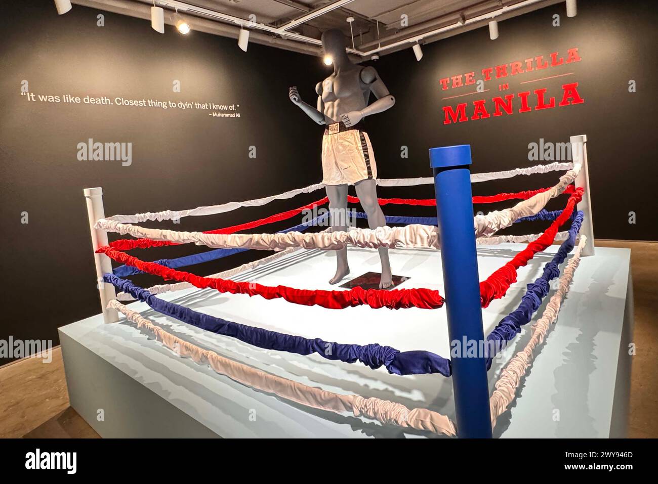 New York, New York, USA. 4th Apr, 2024. Boxer Muhammad Ali's Fight Worn Autographed Trunks from the ''˜Thrilla in Manila' where Ali won against Joe Frazier and is considered one of the best boxing matches in history, est. $4 - $6 million, seen during Sotheby's Sports Week New York. (Credit Image: © Nancy Kaszerman/ZUMA Press Wire) EDITORIAL USAGE ONLY! Not for Commercial USAGE! Stock Photo