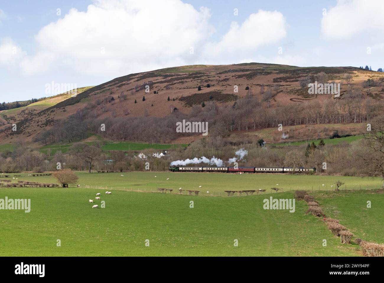 Steam train LLangollen Railway near Glyndyfrdwy, Wales, Great Britain Stock Photo