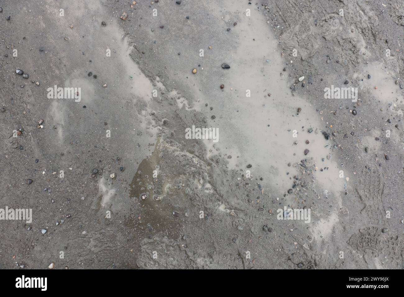 Mud and grass ground texture suitable for reference Stock Photo