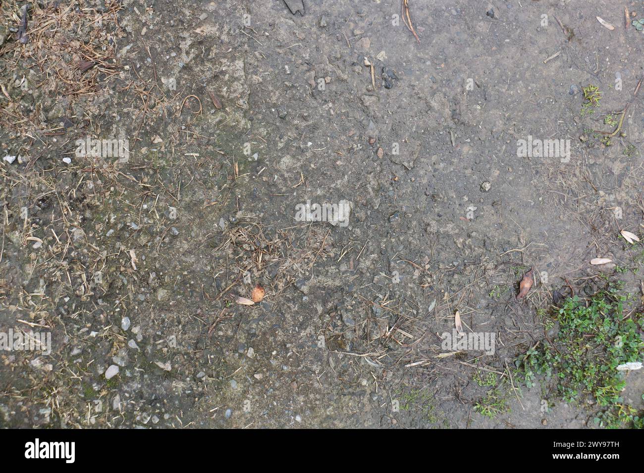 Mud and grass ground texture suitable for reference Stock Photo