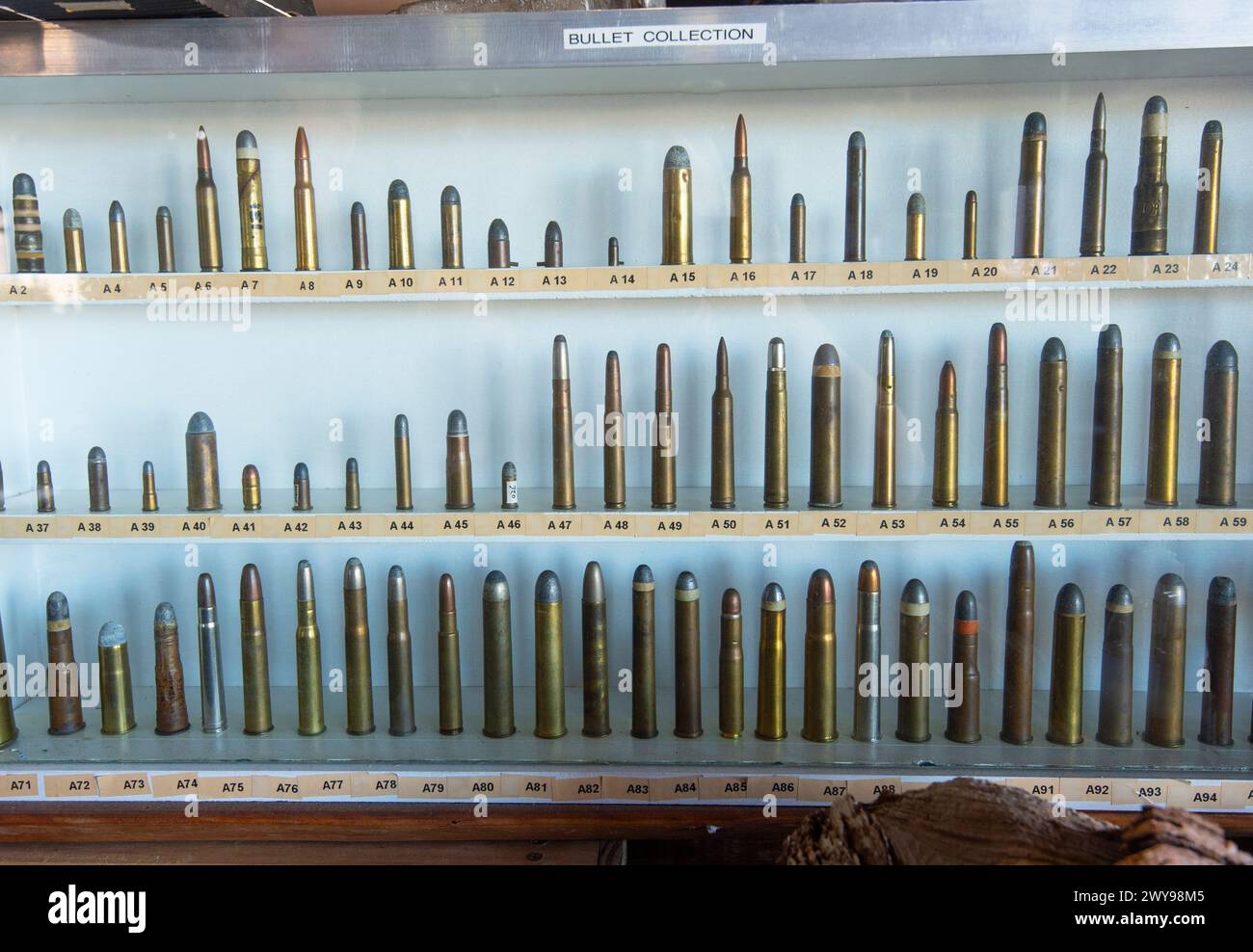 Display of bullet collection Stock Photo