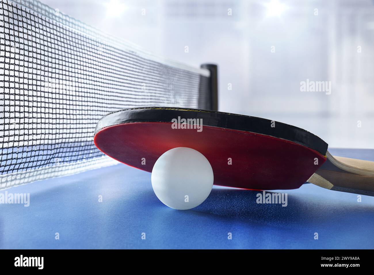 Ping pong paddle resting on white ball on a blue game table next to the game net with sports pavilion with lighting in the background. Front view. Stock Photo