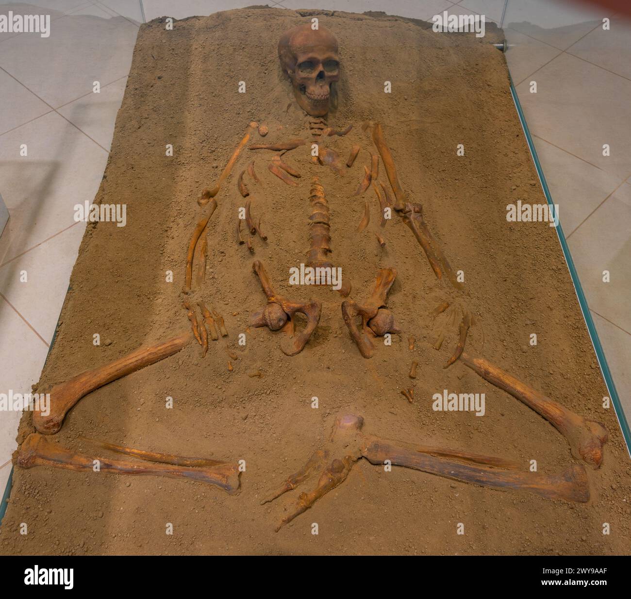 Lepenski Vir, Serbia, July 26, 2023: Skeleton at Lepenski Vir museum in Serbia Stock Photo