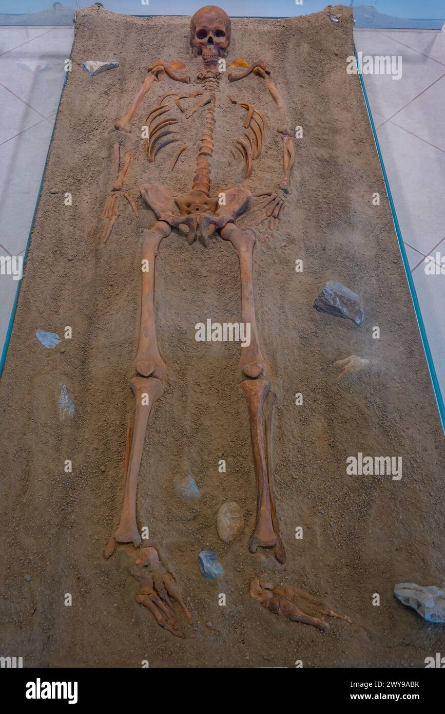 Lepenski Vir, Serbia, July 26, 2023: Skeleton at Lepenski Vir museum in Serbia Stock Photo