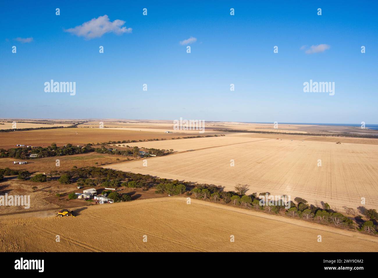 Aerial of combine harvester reaping wheat field near Tumby Bay Eyre Peninsula South Australia Stock Photo