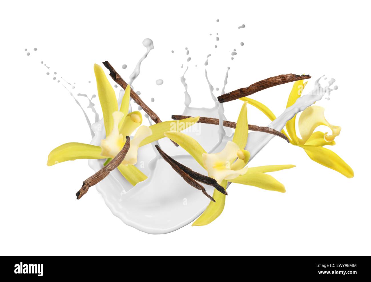 Vanilla pods and flowers with splash of milk in air on white background Stock Photo