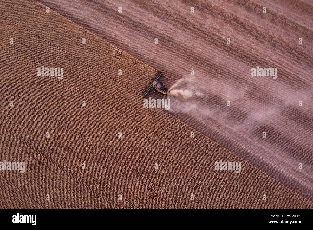 Aerial of combine harvesters working into the night to harvest wheat crop near Tumby Bay South Australia Stock Photo