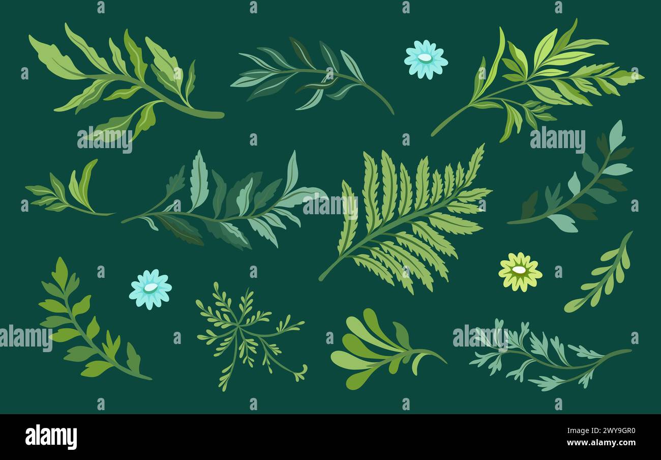 Collection of elegant beautiful tropical plants isolated on background. Cute leaves for decorative design elements. Stock Vector