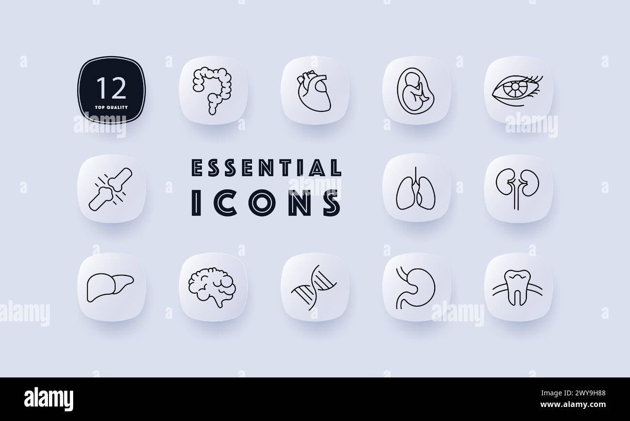 Organs set icon. Intestinal tract, stomach, liver, brain, lungs, embryo ...