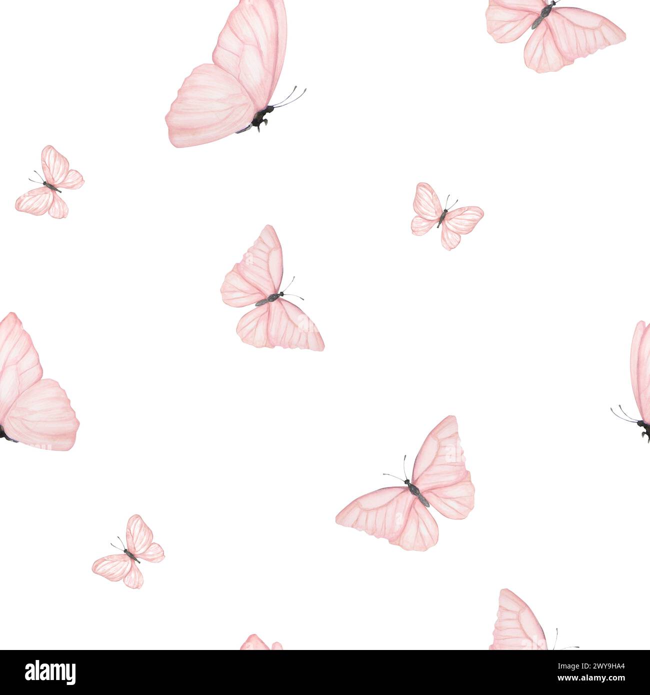 Butterfly Background Clipart